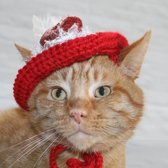 HAND CRAFTED Hat Crochet Valentine's Day Cat Dog Costume Photo Prop Red - Picture 4 of 12